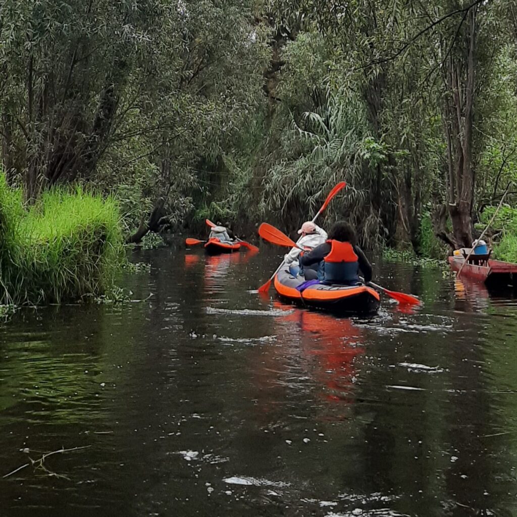 Acalli Kayak Club